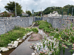 Stone Walls Cork 5